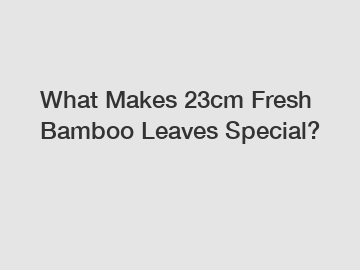 What Makes 23cm Fresh Bamboo Leaves Special?
