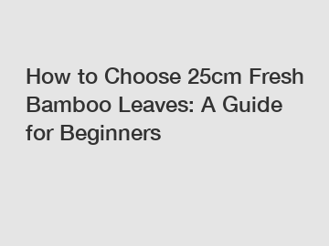 How to Choose 25cm Fresh Bamboo Leaves: A Guide for Beginners