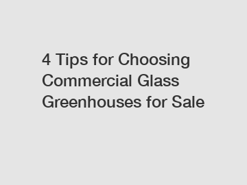 4 Tips for Choosing Commercial Glass Greenhouses for Sale