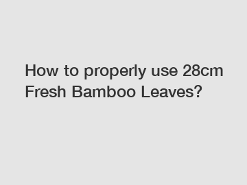 How to properly use 28cm Fresh Bamboo Leaves?