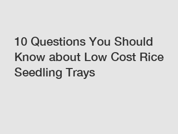 10 Questions You Should Know about Low Cost Rice Seedling Trays