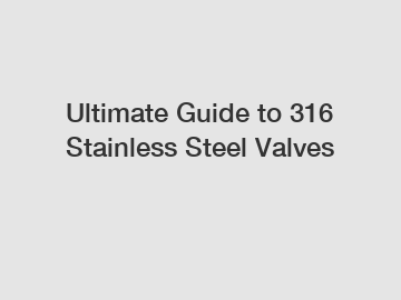 Ultimate Guide to 316 Stainless Steel Valves