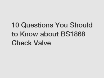 10 Questions You Should to Know about BS1868 Check Valve
