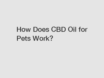 How Does CBD Oil for Pets Work?