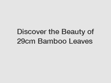 Discover the Beauty of 29cm Bamboo Leaves