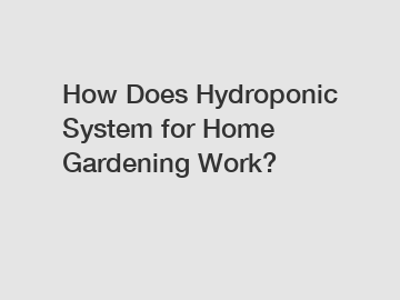 How Does Hydroponic System for Home Gardening Work?