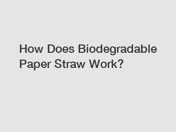 How Does Biodegradable Paper Straw Work?