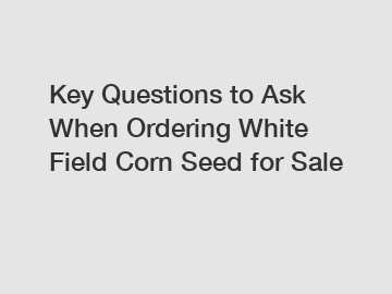 Key Questions to Ask When Ordering White Field Corn Seed for Sale