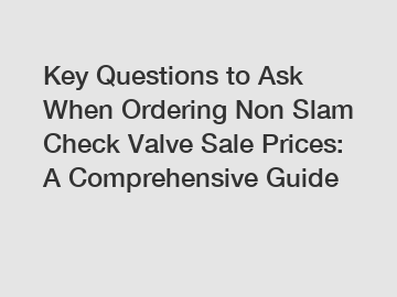 Key Questions to Ask When Ordering Non Slam Check Valve Sale Prices: A Comprehensive Guide