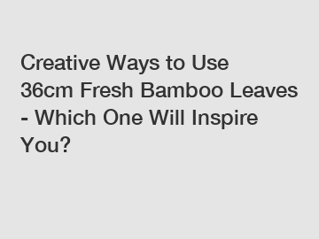 Creative Ways to Use 36cm Fresh Bamboo Leaves - Which One Will Inspire You?