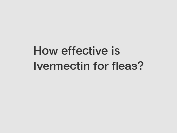 How effective is Ivermectin for fleas?