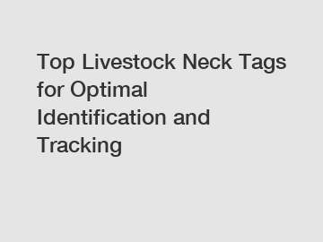 Top Livestock Neck Tags for Optimal Identification and Tracking Top Livestock Neck Tags for Optimal Identification and Tracking