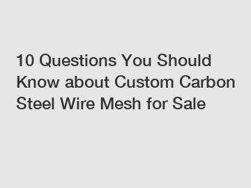 10 Questions You Should Know about Custom Carbon Steel Wire Mesh for Sale