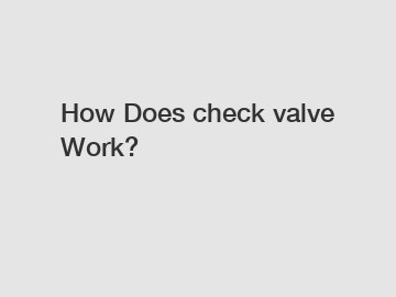 How Does check valve Work?