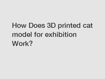 How Does 3D printed cat model for exhibition Work?