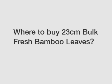 Where to buy 23cm Bulk Fresh Bamboo Leaves?