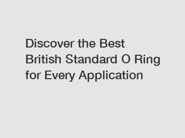 Discover the Best British Standard O Ring for Every Application