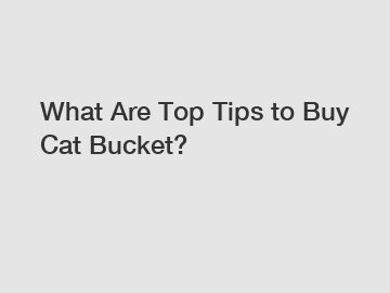 What Are Top Tips to Buy Cat Bucket?