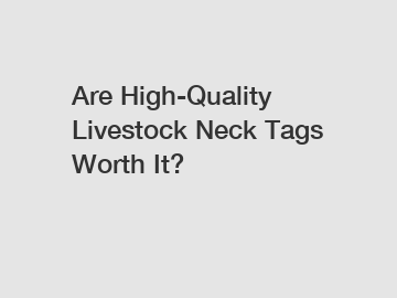 Are High-Quality Livestock Neck Tags Worth It?