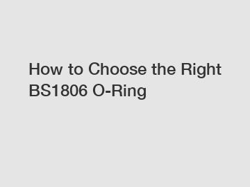 How to Choose the Right BS1806 O-Ring