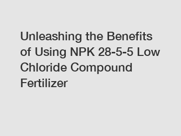 Unleashing the Benefits of Using NPK 28-5-5 Low Chloride Compound Fertilizer