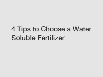 4 Tips to Choose a Water Soluble Fertilizer