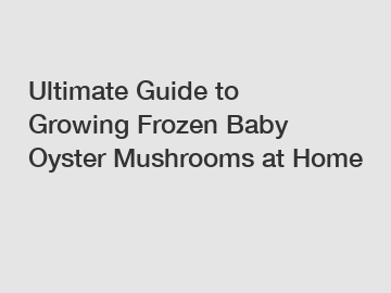 Ultimate Guide to Growing Frozen Baby Oyster Mushrooms at Home
