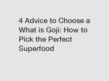 4 Advice to Choose a What is Goji: How to Pick the Perfect Superfood