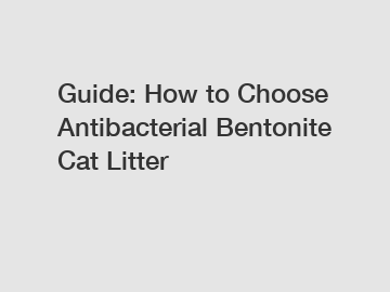 Guide: How to Choose Antibacterial Bentonite Cat Litter