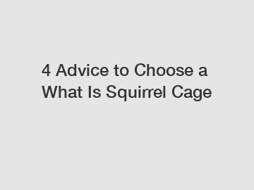 4 Advice to Choose a What Is Squirrel Cage