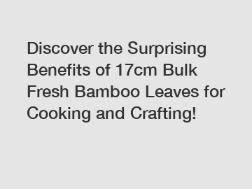 Discover the Surprising Benefits of 17cm Bulk Fresh Bamboo Leaves for Cooking and Crafting!