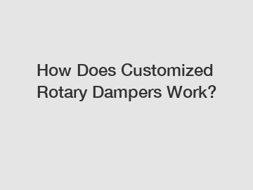 How Does Customized Rotary Dampers Work?