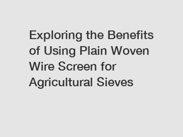 Exploring the Benefits of Using Plain Woven Wire Screen for Agricultural Sieves