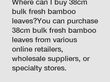 Where can I buy 38cm bulk fresh bamboo leaves?You can purchase 38cm bulk fresh bamboo leaves from various online retailers, wholesale suppliers, or specialty stores.