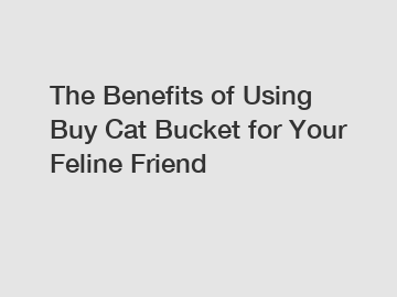 The Benefits of Using Buy Cat Bucket for Your Feline Friend