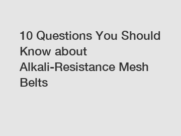 10 Questions You Should Know about Alkali-Resistance Mesh Belts