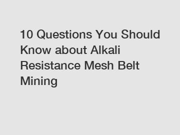 10 Questions You Should Know about Alkali Resistance Mesh Belt Mining