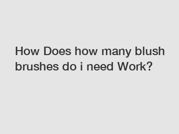 How Does how many blush brushes do i need Work?