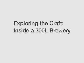 Exploring the Craft: Inside a 300L Brewery