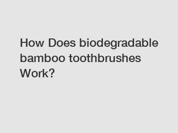 How Does biodegradable bamboo toothbrushes Work?