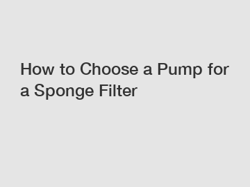 How to Choose a Pump for a Sponge Filter