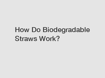 How Do Biodegradable Straws Work?