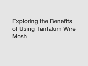 Exploring the Benefits of Using Tantalum Wire Mesh