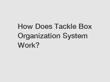 How Does Tackle Box Organization System Work?