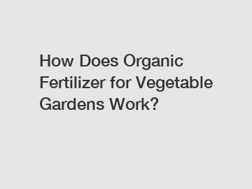 How Does Organic Fertilizer for Vegetable Gardens Work?