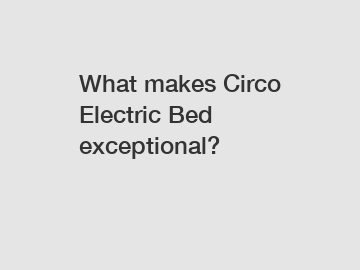 What makes Circo Electric Bed exceptional?