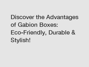 Discover the Advantages of Gabion Boxes: Eco-Friendly, Durable & Stylish!