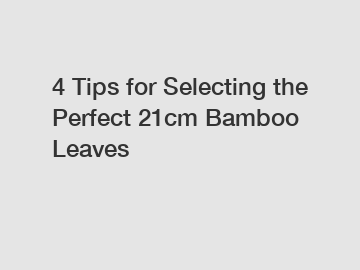 4 Tips for Selecting the Perfect 21cm Bamboo Leaves