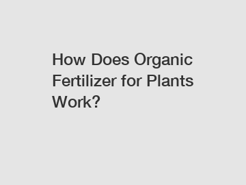 How Does Organic Fertilizer for Plants Work?