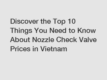 Discover the Top 10 Things You Need to Know About Nozzle Check Valve Prices in Vietnam